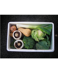 Veggie Box - Great Everyday Large