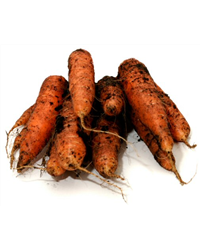 Sack Of Dirty Carrots (9kg)
