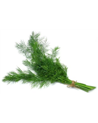 Fresh Dill (50g)