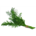 Fresh Dill (50g)
