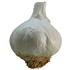 Garlic Farm Garlic Bulb