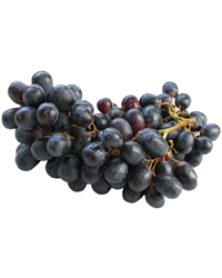 Seedless Black Grapes