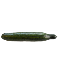 Cucumber