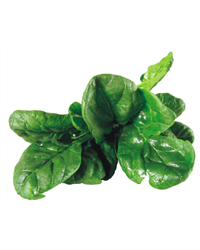 Baby Spinach Leaves (250g)