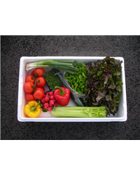 Veggie Box - Salad Selection