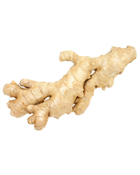 Ginger Root