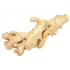 Ginger Root