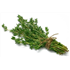 Fresh Thyme (50g)