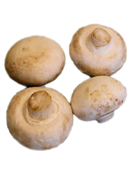 Button Mushrooms