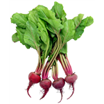 Bunched Beetroot