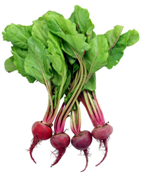 Bunched Beetroot