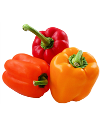 Pre Pack Peppers (3)