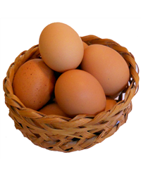 Organic Eggs - Box of 6