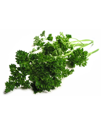 Bunch of Parsley