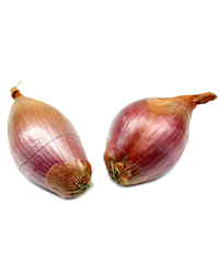 Shallots