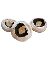 Flat Mushrooms