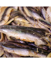 Anchovy Fillets