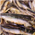 Anchovy Fillets