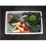 Veggie Box - Great Everyday