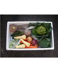 Veggie Box - Great Everyday