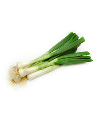 Spring Onions