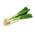 Spring Onions