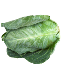Spring Cabbage (1kg)