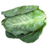 Spring Cabbage (1kg)