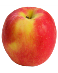 Pink Lady Apples