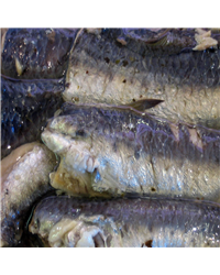 Sardine Fillets Marinated