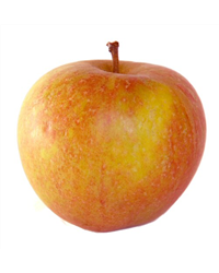 Cox's Orange Pippin Apples