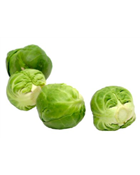 Brussel Sprouts
