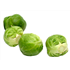 Brussel Sprouts