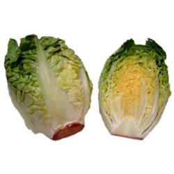 Little Gem Lettuce - pack of 2