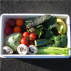 Mixed Produce Box - Our Best Seller!!