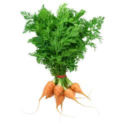 Baby Carrots