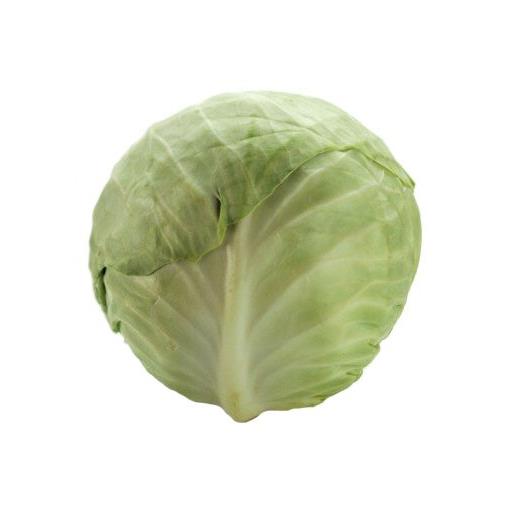 White Cabbage