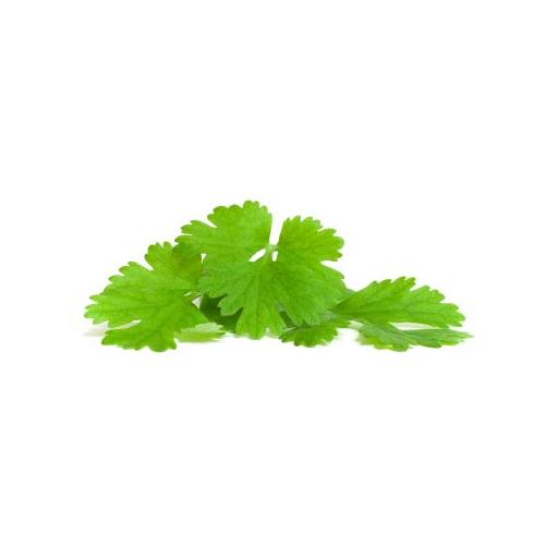 Fresh Coriander (50g)