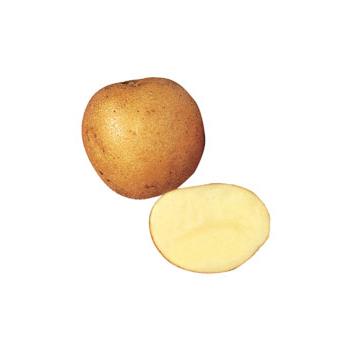 Maris Piper Potatoes (25kg)