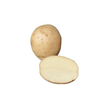 Wilja Potatoes (10kg)