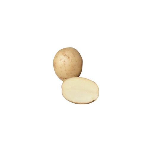Wilja Potatoes (10kg)