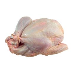 Small - Medium Turkey