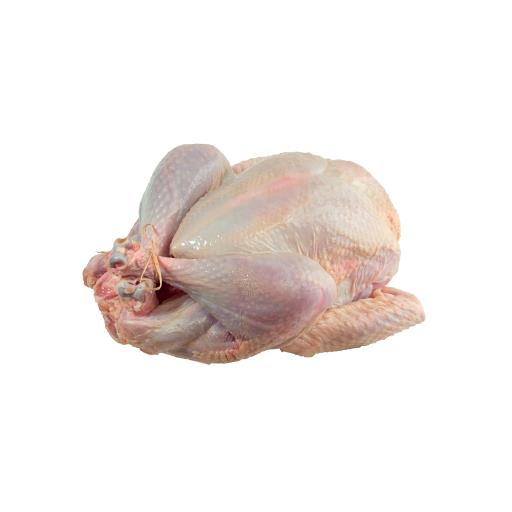 Medium Turkey