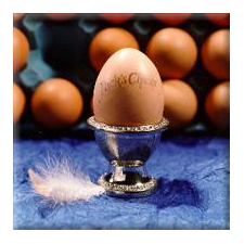 Nick's Chicks