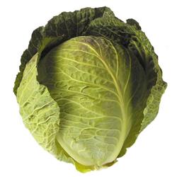 Summer Cabbage