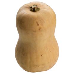 Butternut Squash