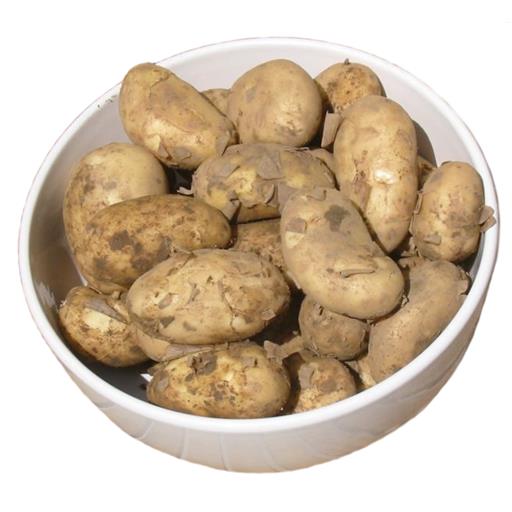 Jersey Potatoes