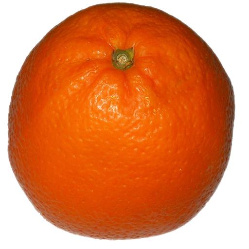 Large Orange