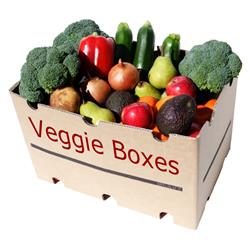 Veggie  Boxes