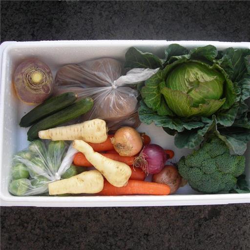 Veggie Box - Great Everyday